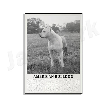 Decorbites™ Poster mit Schwarz- und Weiß-Hunderassen: Windhund, Cocker Spaniel, Akita, Malamute, Vieh-Hund