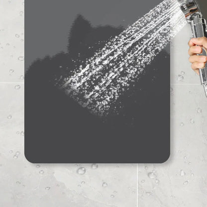 Decorbites™ Diatomeenerde-Badteppich: Super saugfähige rutschfeste Matte für Badezimmer & Toiletten
