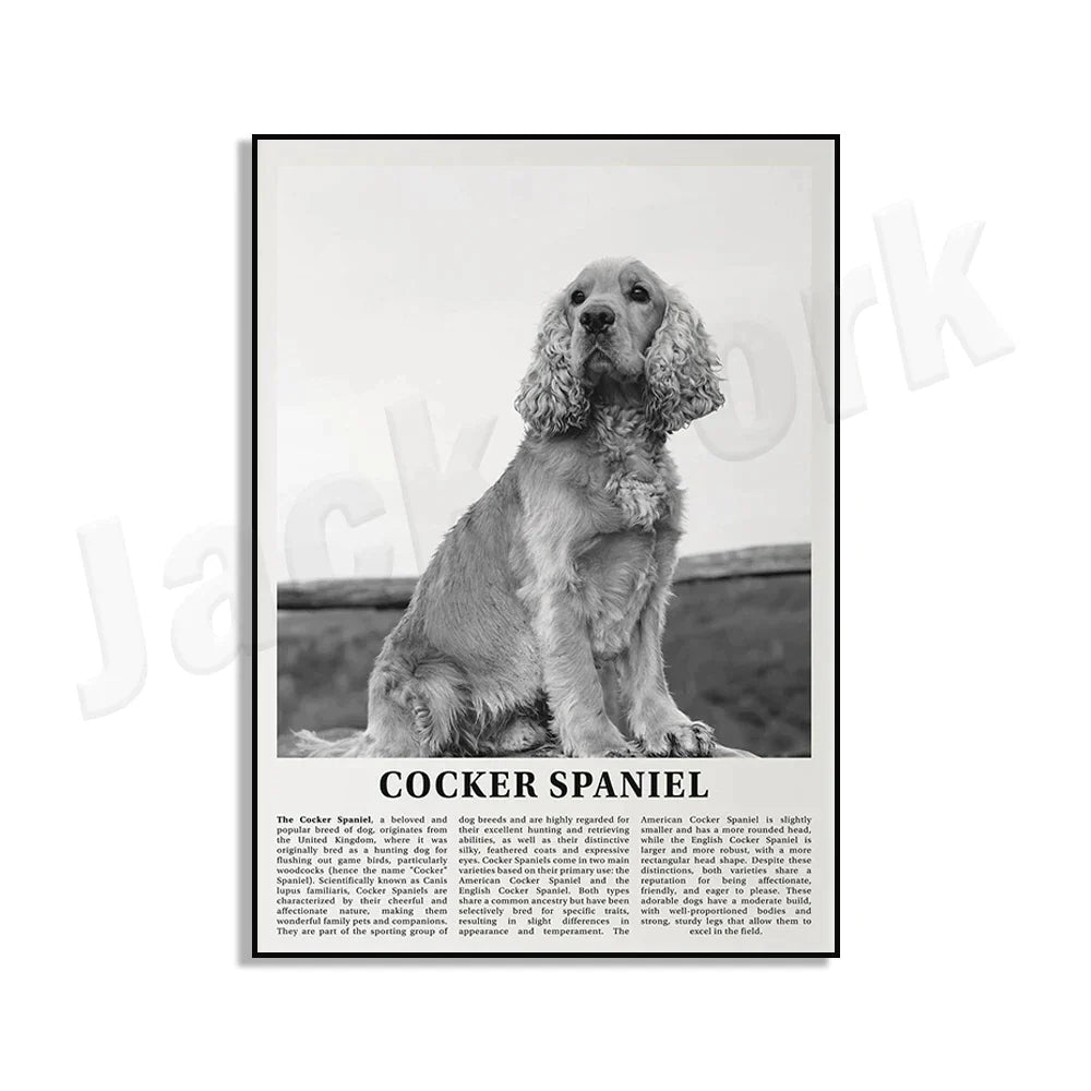 Decorbites™ Poster mit Schwarz- und Weiß-Hunderassen: Windhund, Cocker Spaniel, Akita, Malamute, Vieh-Hund