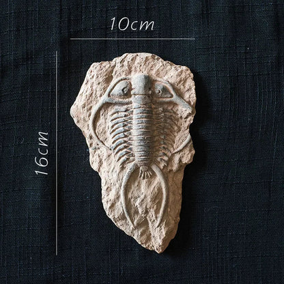 Decorbites™ Fossil-Serie Kunst-Kühlschrank-Aufkleber: Fischknochen-Käfer Meeresinsekten-Präparat
