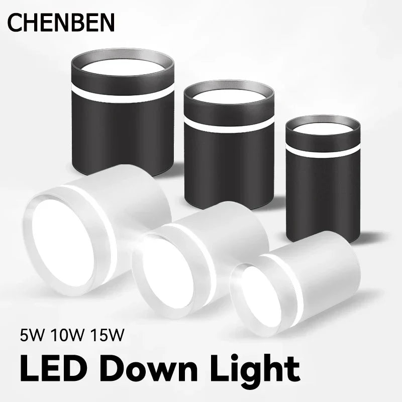 Decorbites™ LED-Deckenleuchte Deckenleuchte für die Beleuchtung im Haus