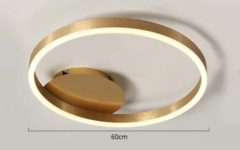 Decorbites™ Goldene LED-Deckenleuchte mit Acryl-Lampenschirm für kreative Wohnzimmerarmaturen