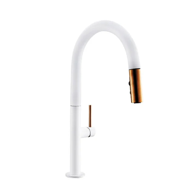 Faucet Pull Out Spout Black Kitchen Fixture