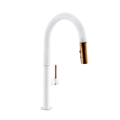 Faucet Pull Out Spout Black Kitchen Fixture