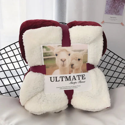 Decorbites™ Kuscheliges Plüschdecke: Weich, warm, leicht für Schlafzimmer & Sofa ganzjährig