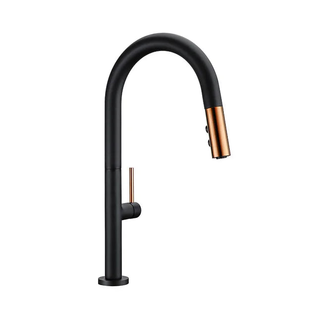 Faucet Pull Out Spout Black Kitchen Fixture