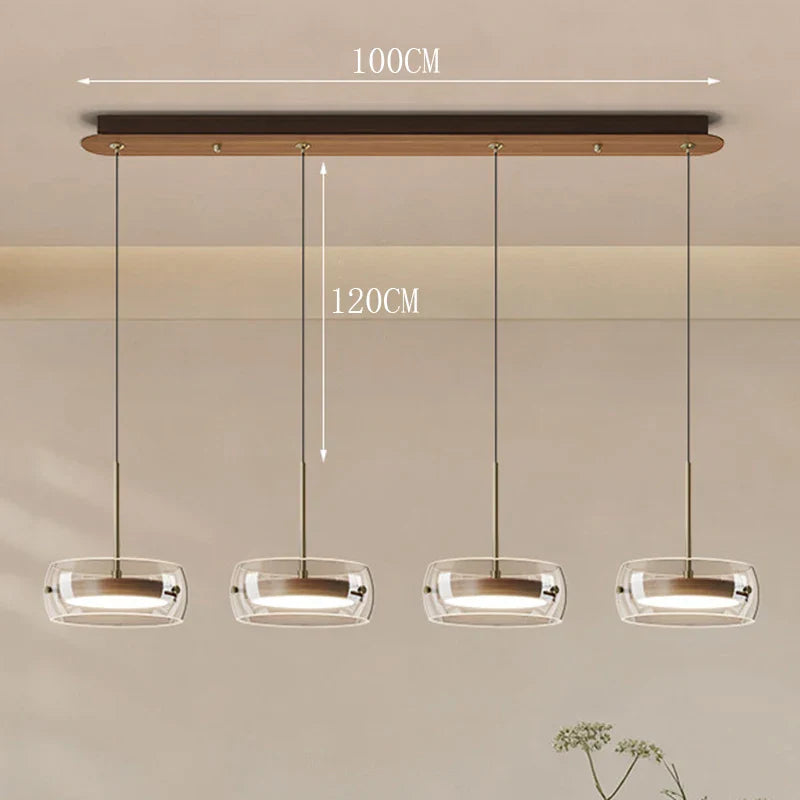 Modern Glass Ring Pendant Light in Iron