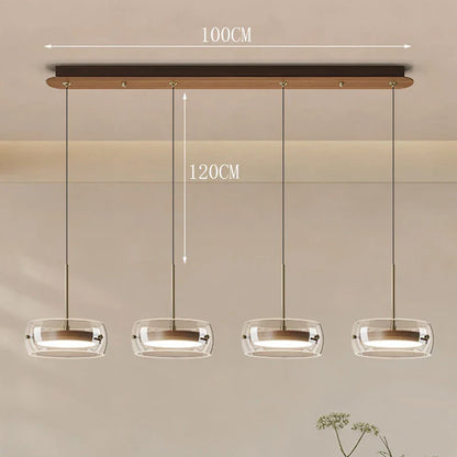 Modern Glass Ring Pendant Light in Iron