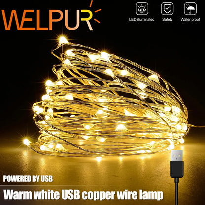 DecorBites™ Garland Led String Light for Christmas Wedding Party Decoration