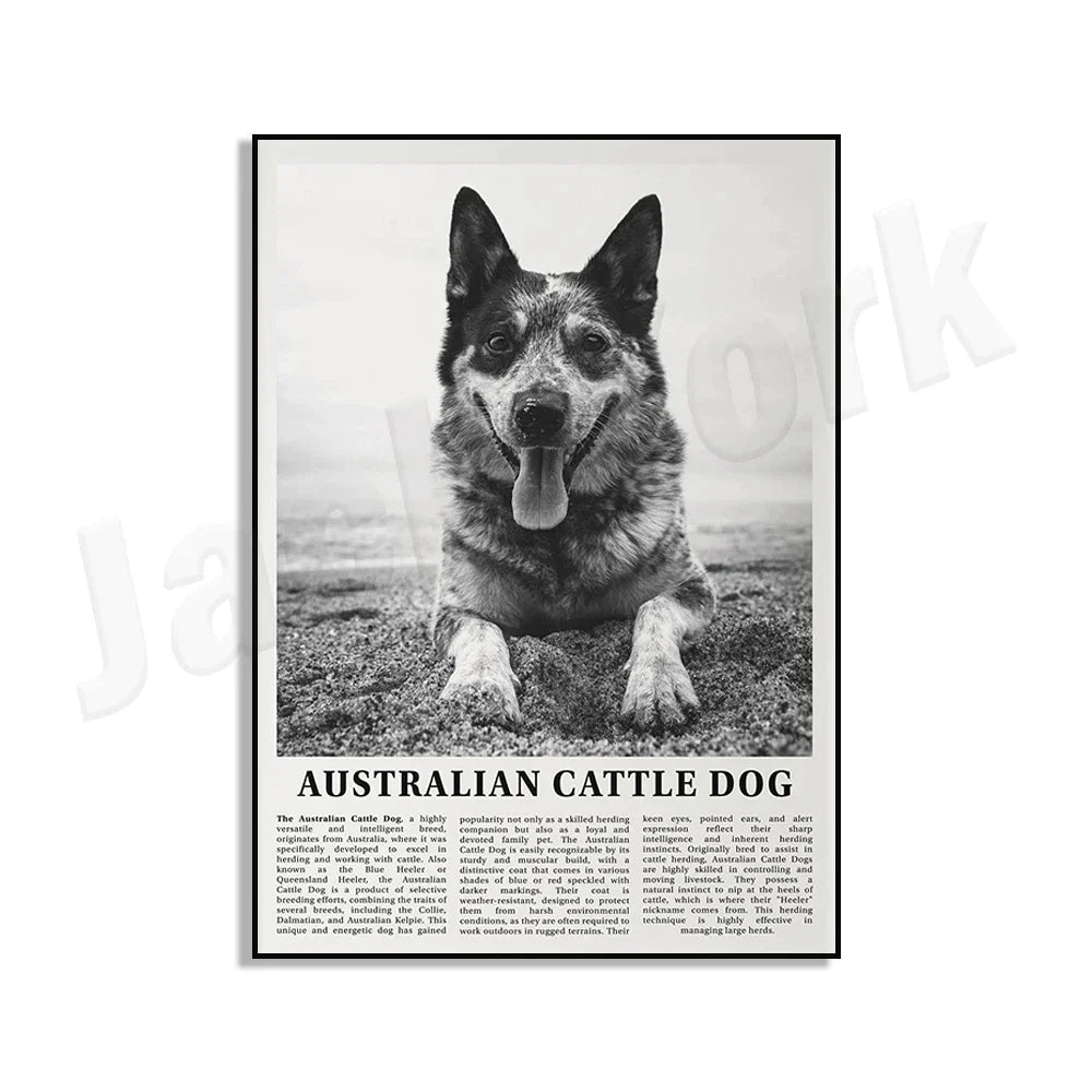 Decorbites™ Poster mit Schwarz- und Weiß-Hunderassen: Windhund, Cocker Spaniel, Akita, Malamute, Vieh-Hund