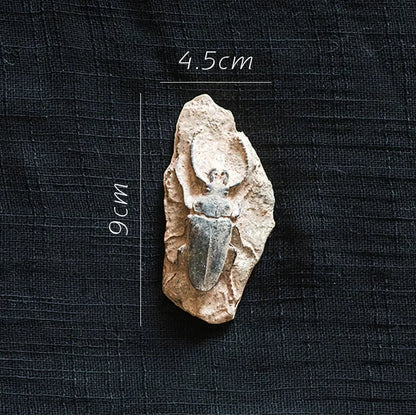 Decorbites™ Fossil-Serie Kunst-Kühlschrank-Aufkleber: Fischknochen-Käfer Meeresinsekten-Präparat