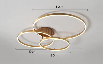 Decorbites™ Goldener Kaffeerunder Kreis LED-Deckenleuchte mit Acryl-Lampenschirm – Kreative Wohnzimmerarmatur
