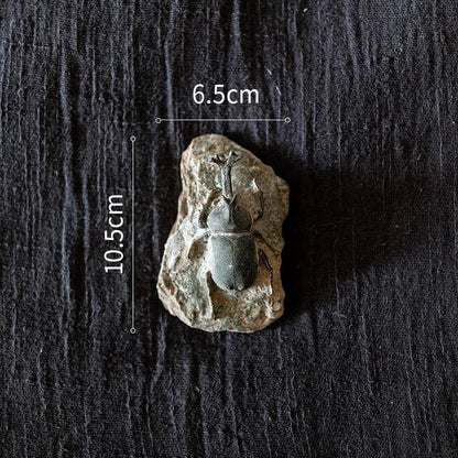 Decorbites™ Fossil-Serie Kunst-Kühlschrank-Aufkleber: Fischknochen-Käfer Meeresinsekten-Präparat