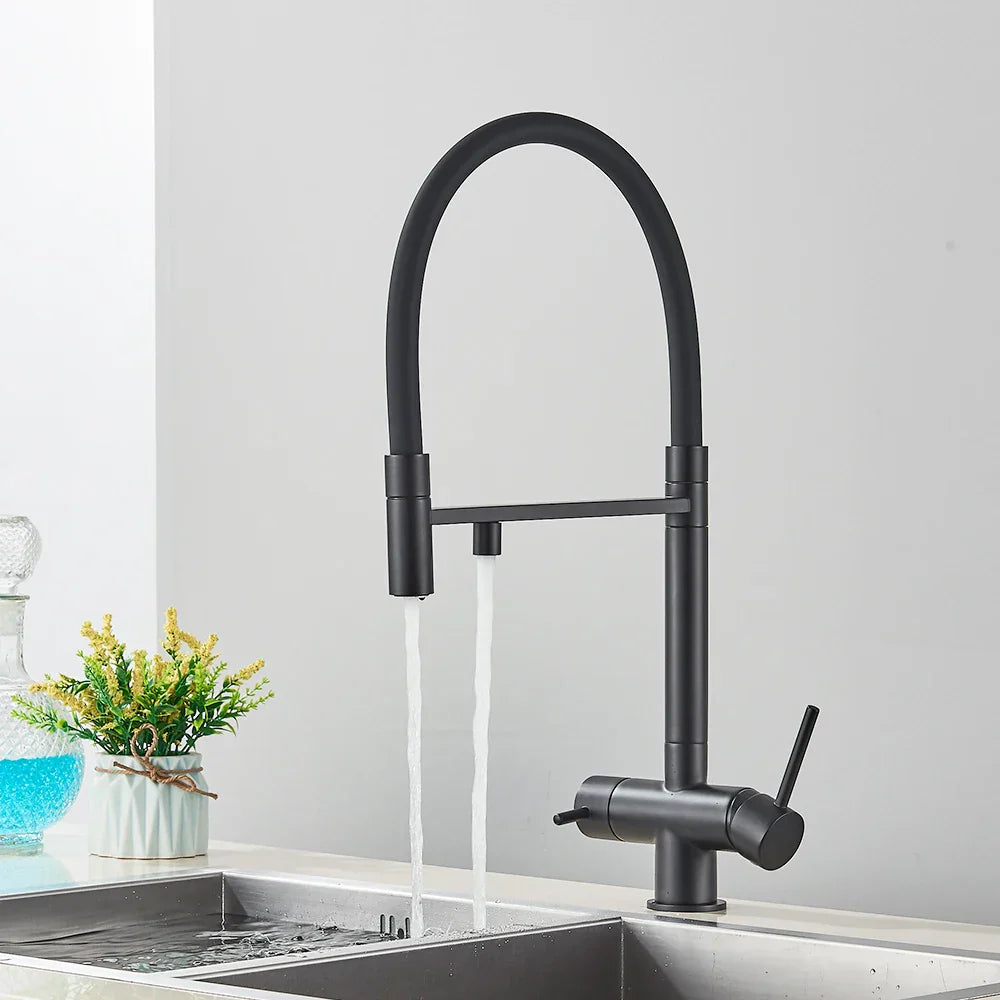 Decorbites™ Schwarz gefilterter Küchenarmatur Messing Doppelgriff Reines Wasser Mischbatterie