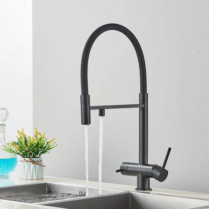 Decorbites™ Schwarz gefilterter Küchenarmatur Messing Doppelgriff Reines Wasser Mischbatterie