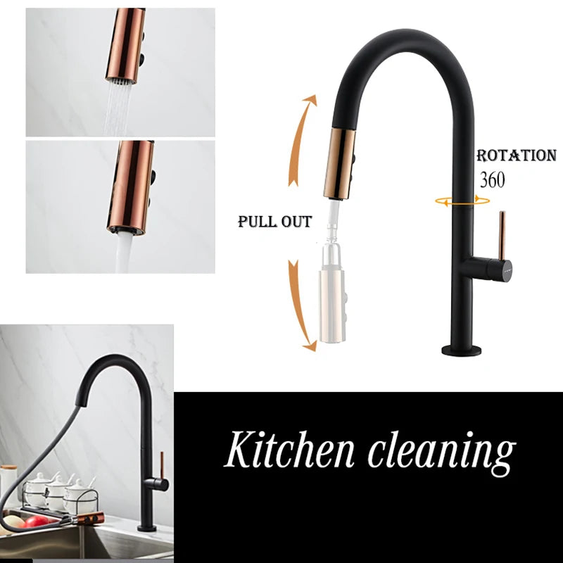 Faucet Pull Out Spout Black Kitchen Fixture