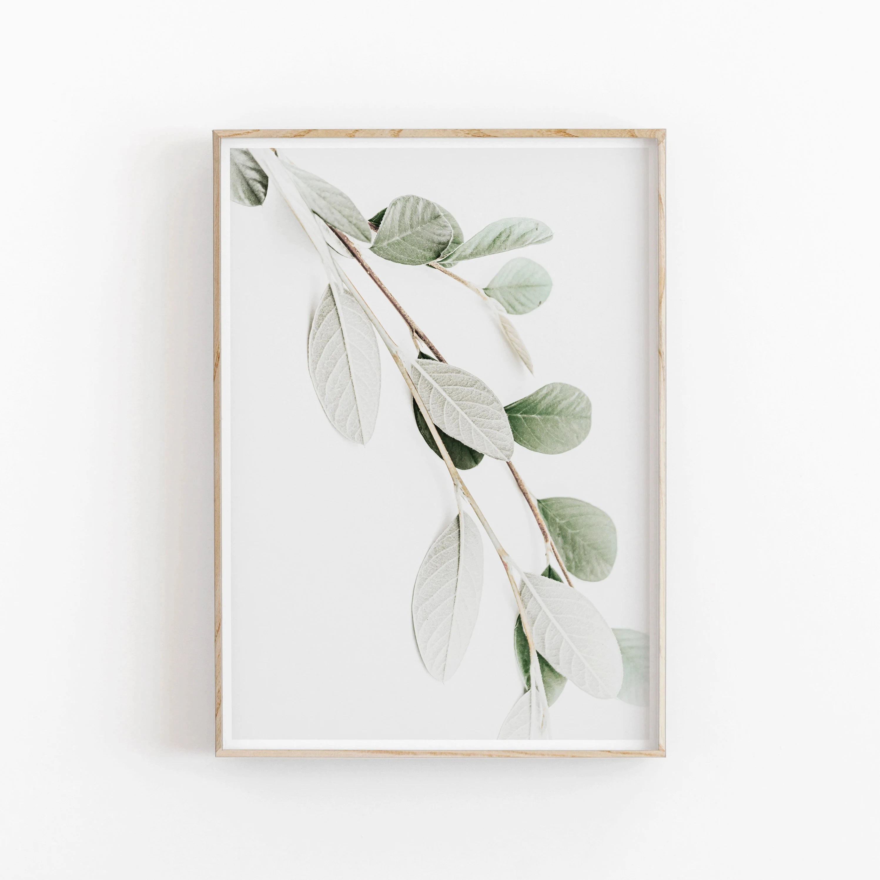 Minimalist Aesthetics Nordic Botanical Poster Canvas Painting Eucalyptus Palm Leaves Art Plant Printable Wall Decor