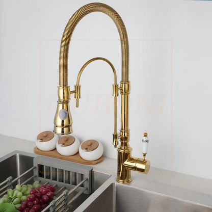DecorBites™ Golden Kitchen Faucet Vessel Sink Swivel Mixer Tap with Pull Down Spring