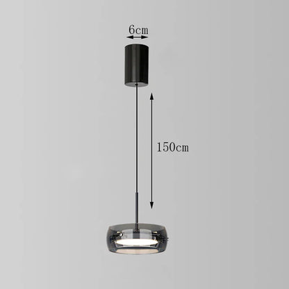 Modern Glass Ring Pendant Light in Iron