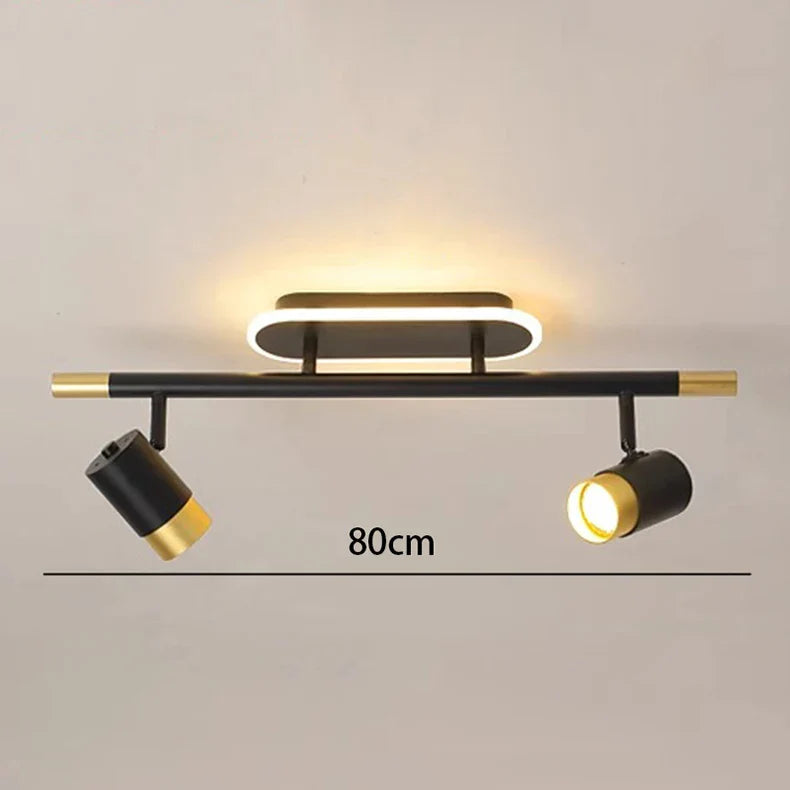 Gold Finish Ceiling Light