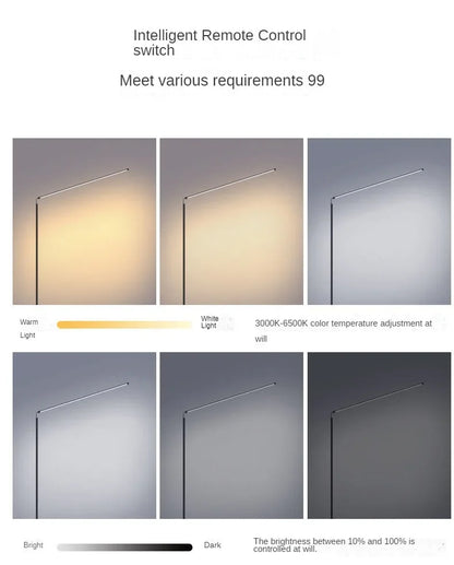 DecorBites™ LED Floor Lamp: Super Bright Minimalist Reading Fixture for Living Room and Bedroom