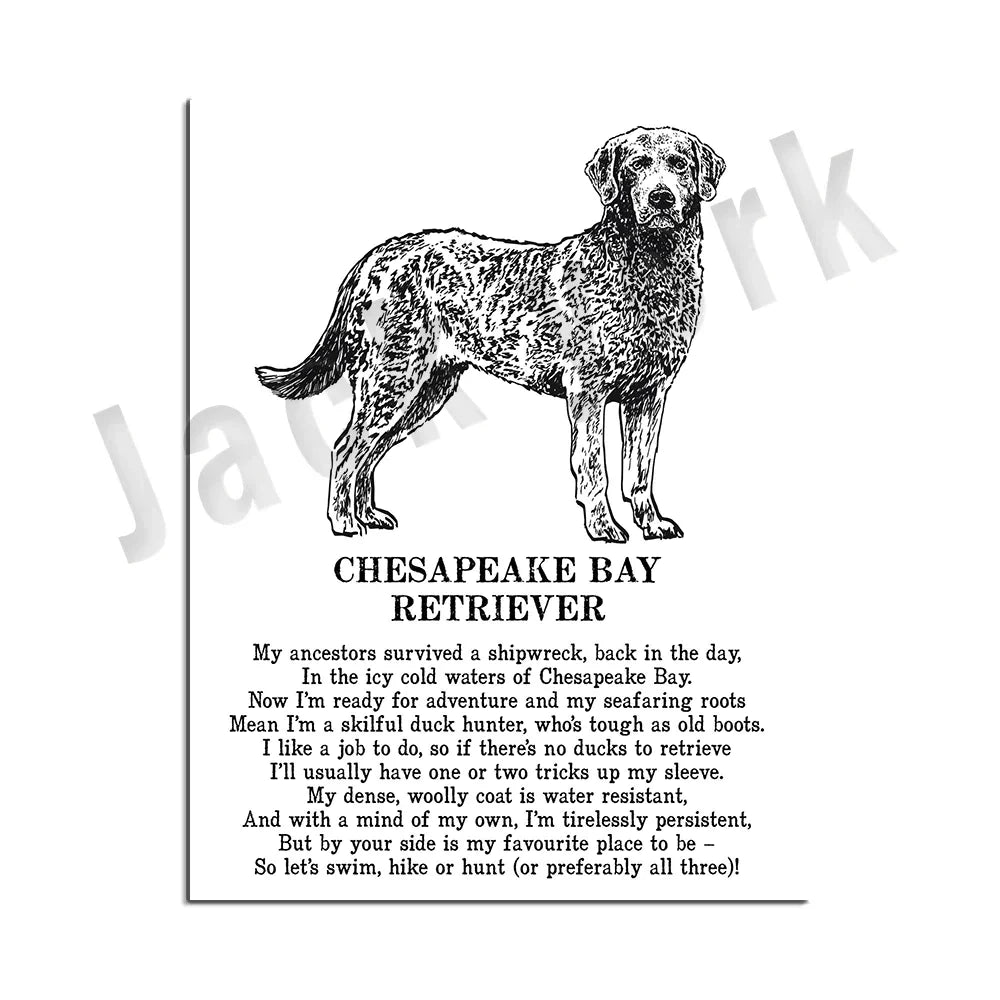 Decorbites™ Hunderassen-Poster: Chinesischer Nackthund, Chesapeake Bay Retriever, Brüsseler Griffon, + Mehr