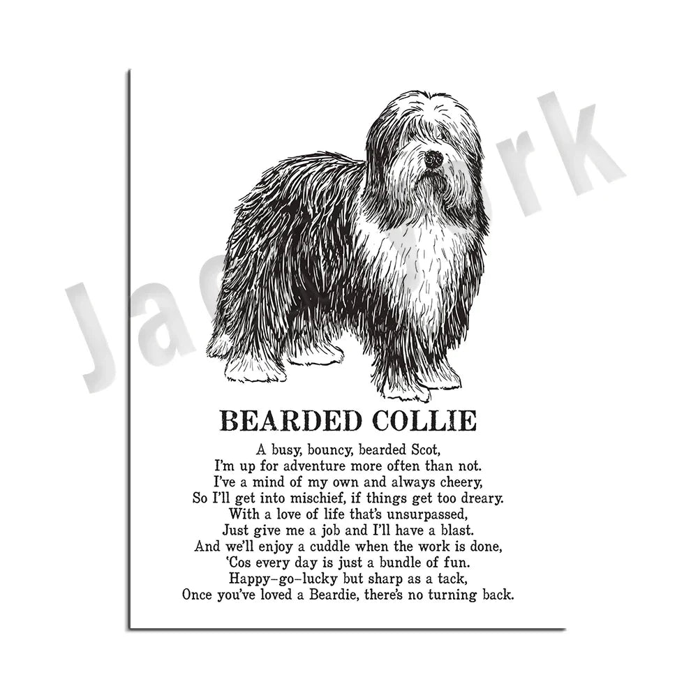 Decorbites™ Hunderassen-Poster: Chinesischer Nackthund, Chesapeake Bay Retriever, Brüsseler Griffon, + Mehr