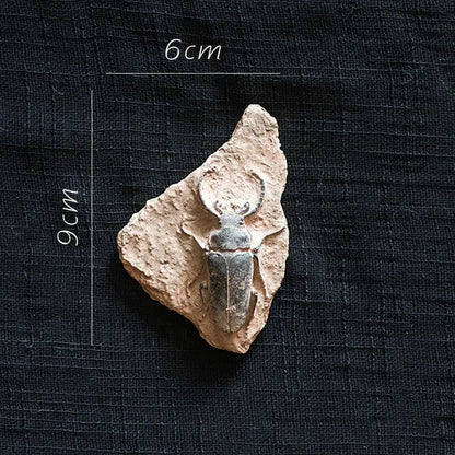 Decorbites™ Fossil-Serie Kunst-Kühlschrank-Aufkleber: Fischknochen-Käfer Meeresinsekten-Präparat