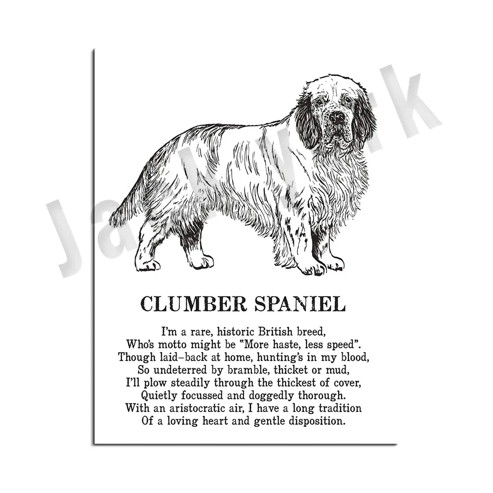 Decorbites™ Hunderassen-Poster: Chinesischer Nackthund, Chesapeake Bay Retriever, Brüsseler Griffon, + Mehr