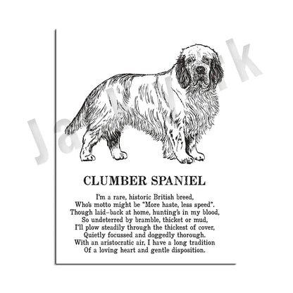 Decorbites™ Hunderassen-Poster: Chinesischer Nackthund, Chesapeake Bay Retriever, Brüsseler Griffon, + Mehr