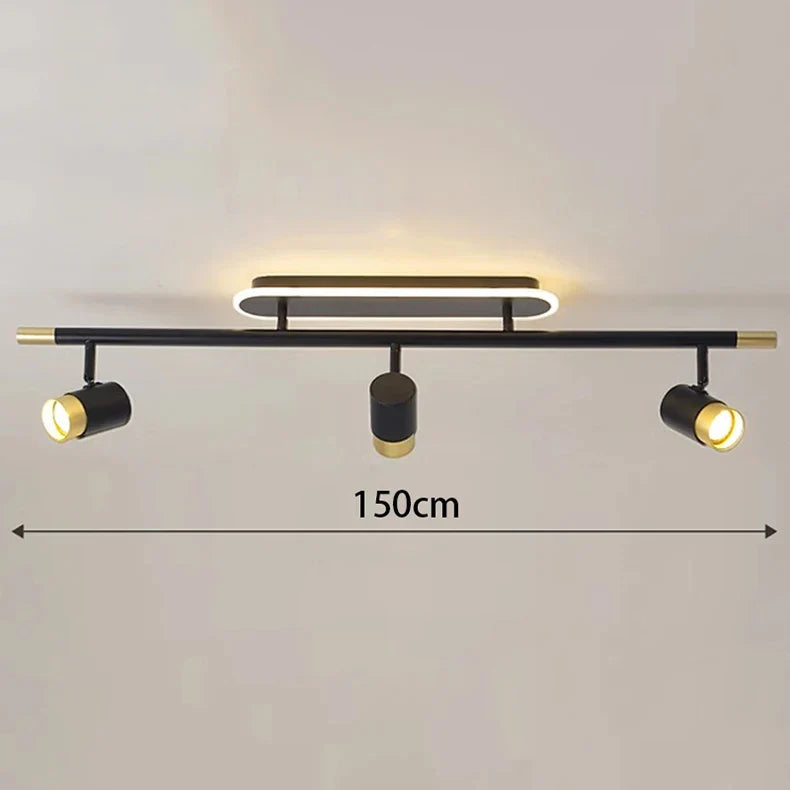 Gold Finish Ceiling Light
