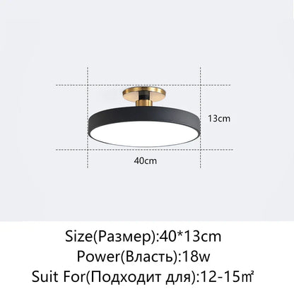 DecorBites™ LED Ceiling Lamp for Living Room Study Child Bedroom Indoor Lighting