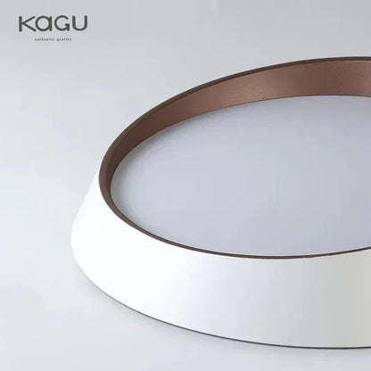 DecorBites™ LED Ceiling Chandelier: Modern Bedroom Room Lighting Fixture