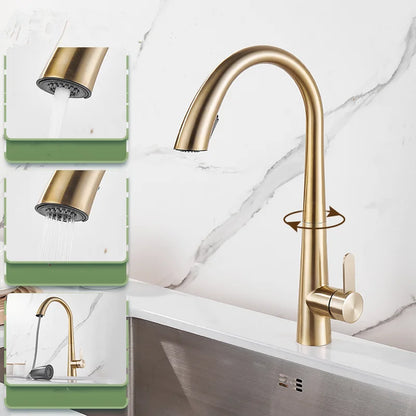 Decorbites™ Schwarz gebürsteter Gold Küchenarmatur mit herausziehbarem Feder-Auslauf