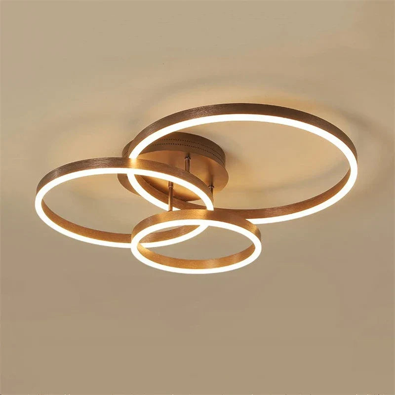 Decorbites™ Goldener Kaffeerunder Kreis LED-Deckenleuchte mit Acryl-Lampenschirm – Kreative Wohnzimmerarmatur