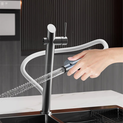 Kitchen Faucet Black Pull-Out Design