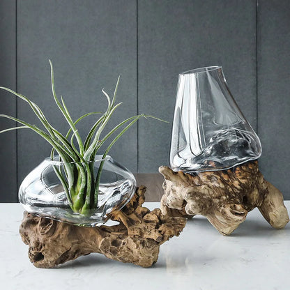 Decorbites™ Glas-Bonsai-Vase Hydroponik-Töpfe Kunst Holzrahmen Heimdekoration