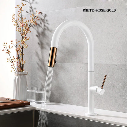 Faucet Pull Out Spout Black Kitchen Fixture