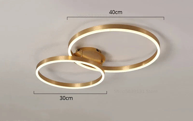 Decorbites™ Goldene LED-Deckenleuchte mit Acryl-Lampenschirm für kreative Wohnzimmerarmaturen