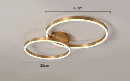 Decorbites™ Goldene LED-Deckenleuchte mit Acryl-Lampenschirm für kreative Wohnzimmerarmaturen