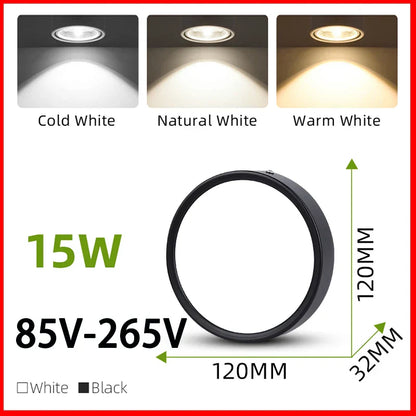 DecorBites™ LED Ceiling Lamp 220V Indoor Lighting Fixture for Kitchen Room & Platform