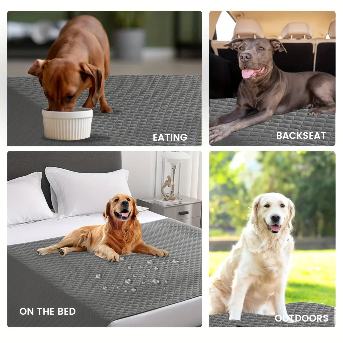 Decorbites™ Hunde-Bettbezug: Wasserdichtes & rutschfestes Haustier-Decke für Möbel & Auto