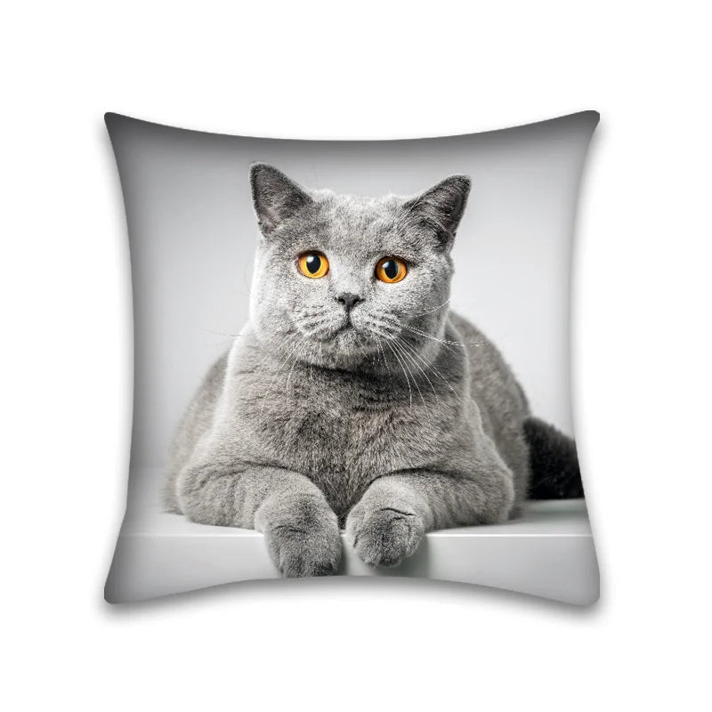 Decorbites™ Niedliches Katzen-Anime-Kissenbezug – 45x45 cm Cartoon-Hussenbezug für Zuhause und Büro