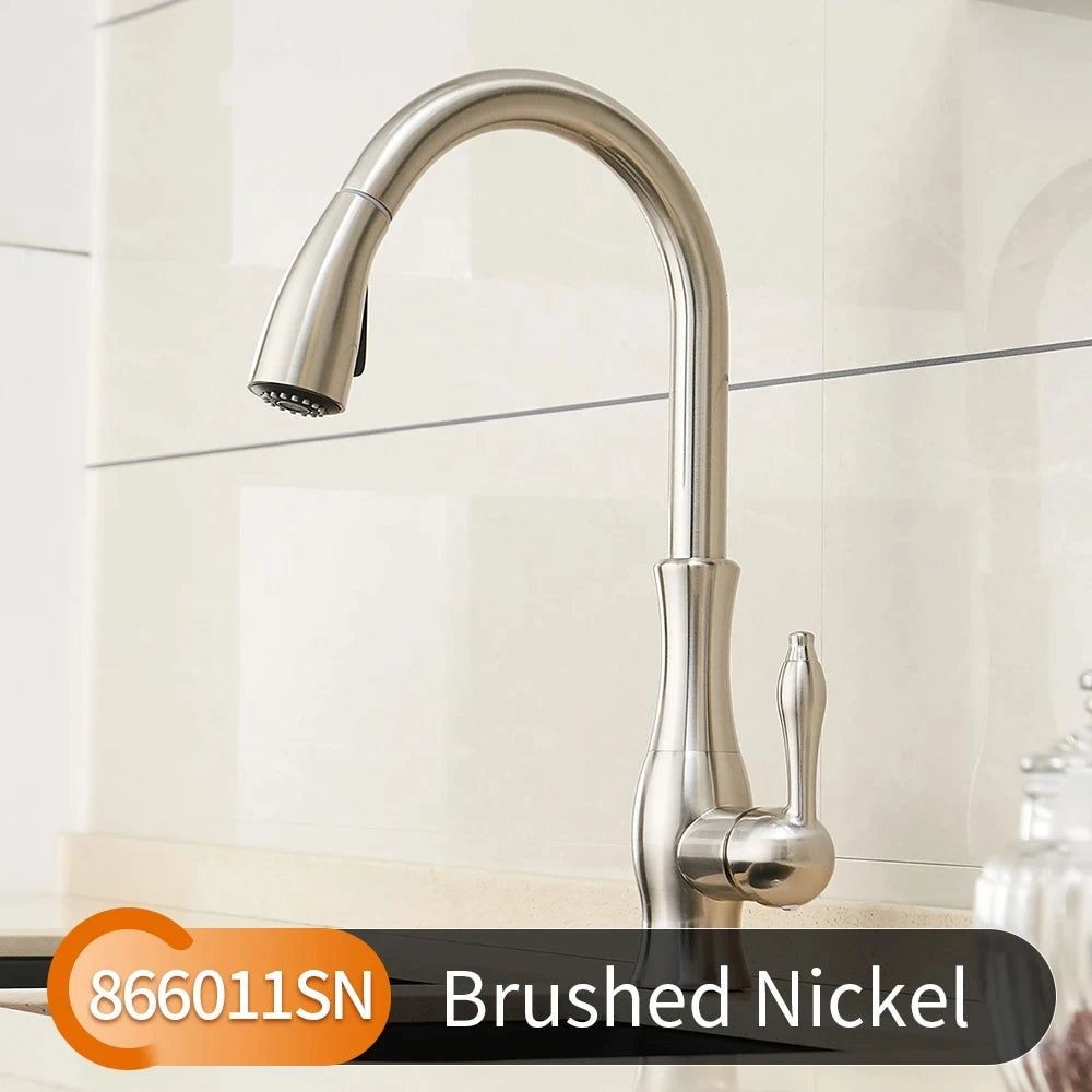 Black Gold Brass Kitchen Faucet Pull-Out Spray
