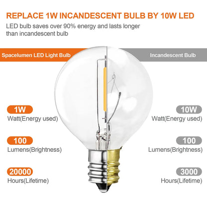 DecorBites™ 25PCS G40 LED String Lights Bulb E12 Screw Warm White 2200K Amber Glass