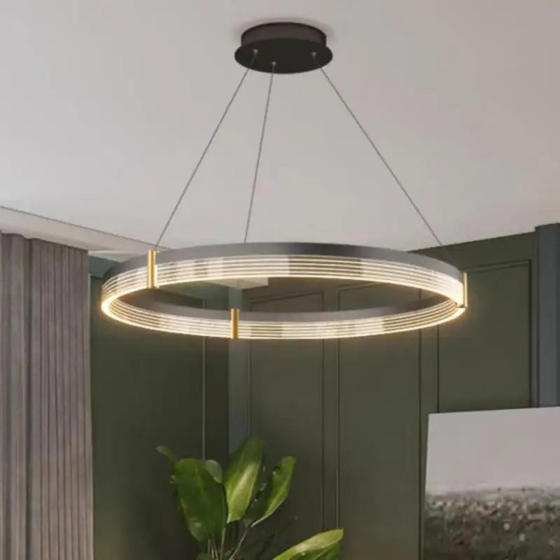 Decorbites™ Schwarze Acryl-LED-Hängeleuchte für modernes Wohnraumausstattung