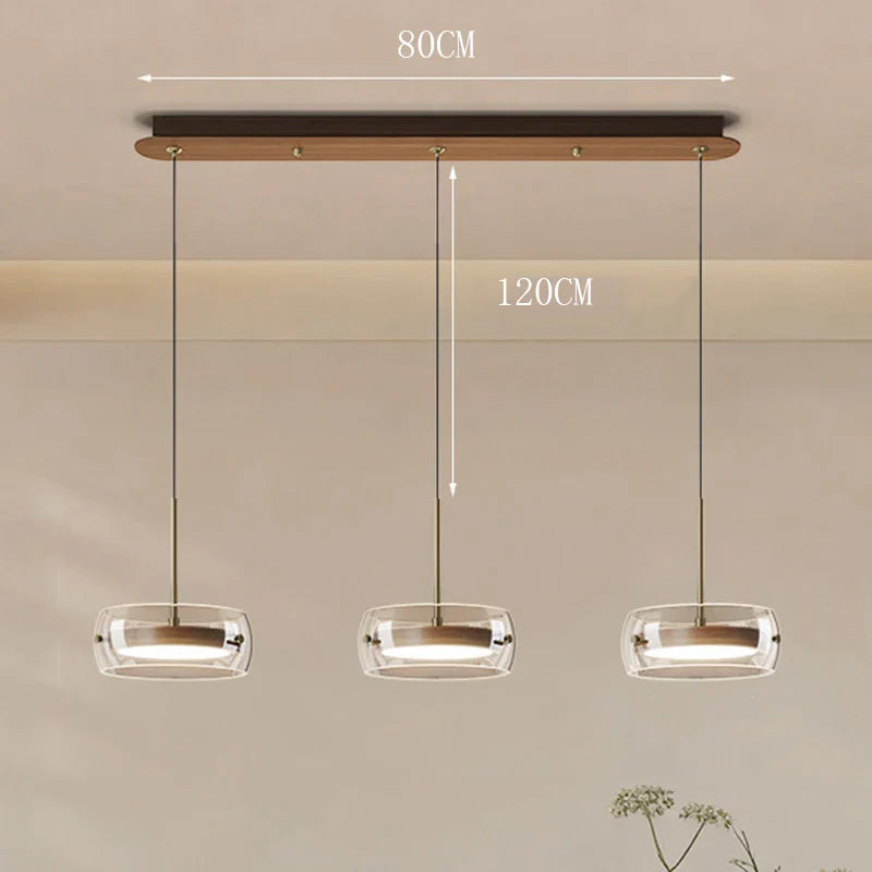 Modern Glass Ring Pendant Light in Iron