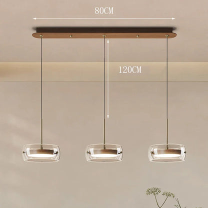 Modern Glass Ring Pendant Light in Iron