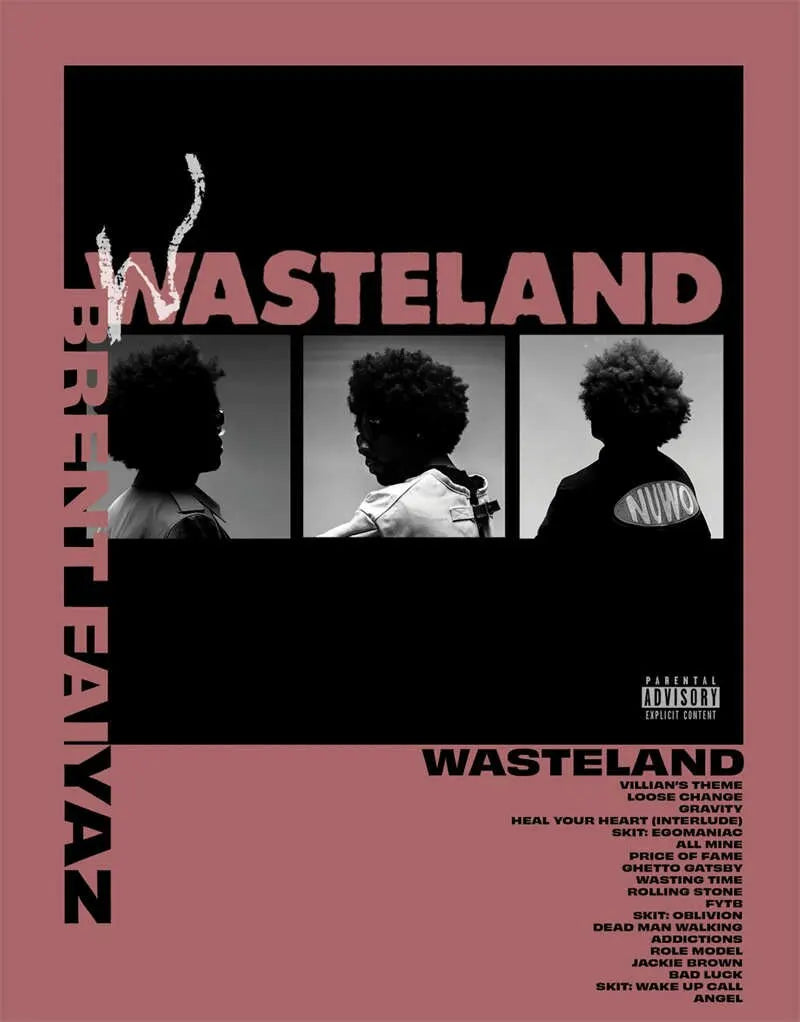 Aesthetic Music Album Canvas Art - Flower Boy, Tyler, Arctic Monkeys, Tame Impala Wall Posters for Room Decor