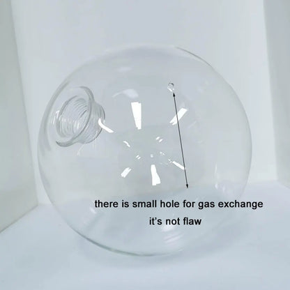 Decorbites™ Klar-Glas-Pendent-Lampenschirm mit 2,2 cm Gewinde für Kronleuchter & Hängeleuchten